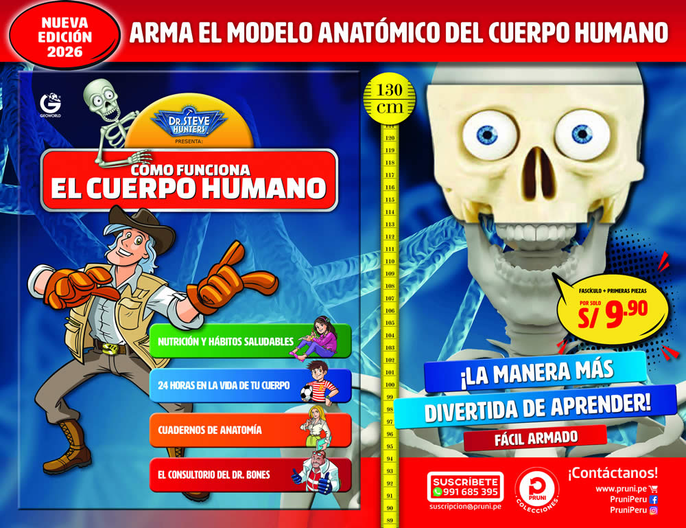 como funciona el cuerpo humano