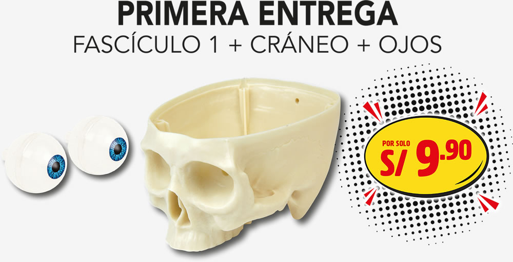 oferta primera entrega